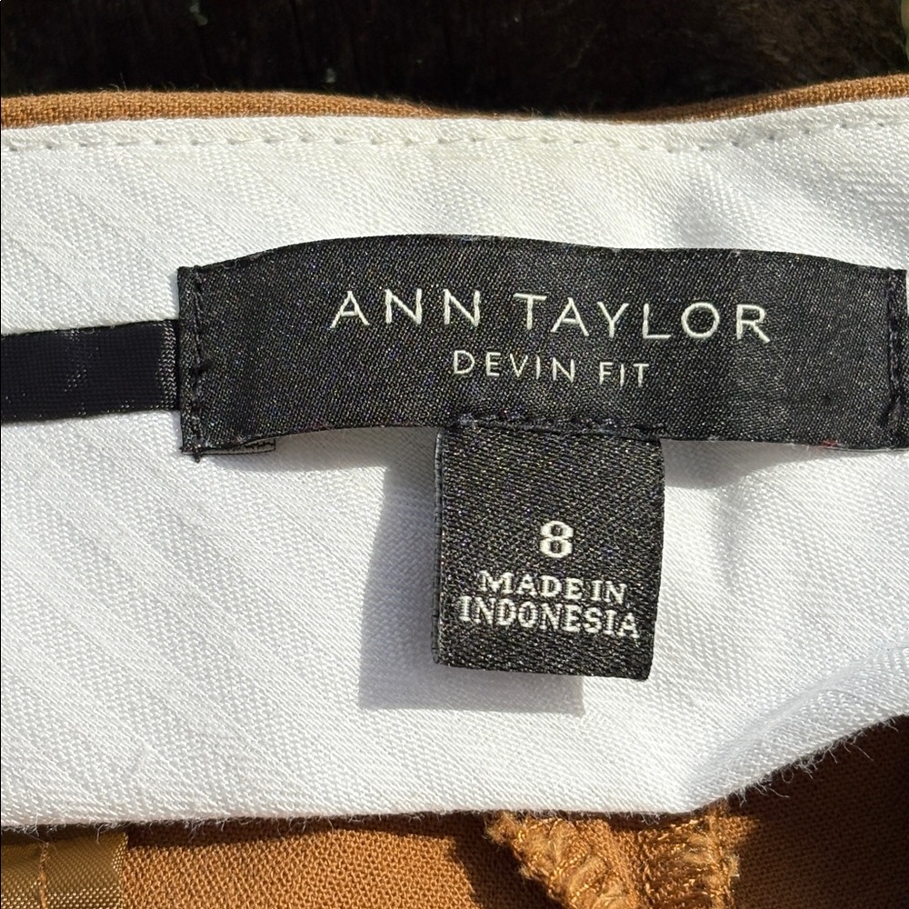 Ann Taylor Size 8 Devlin Fit Caramel Color Cotton Pants. View 3